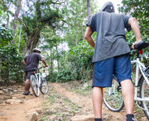 Misty Woods Resort | Image Gallery | Adventure Cycling